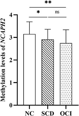 Blood NCAPH2 Methylation Is Associated With Hippocampal Volume in Subjective Cognitive Decline With Apolipoprotein E ε4 Non-carriers